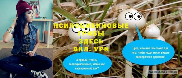 ешки Бронницы