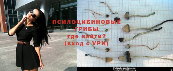spice Волосово