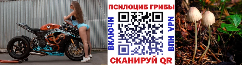kraken   Калач  мориарти какой сайт  наркотики  Галлюциногенные грибы ЛСД 